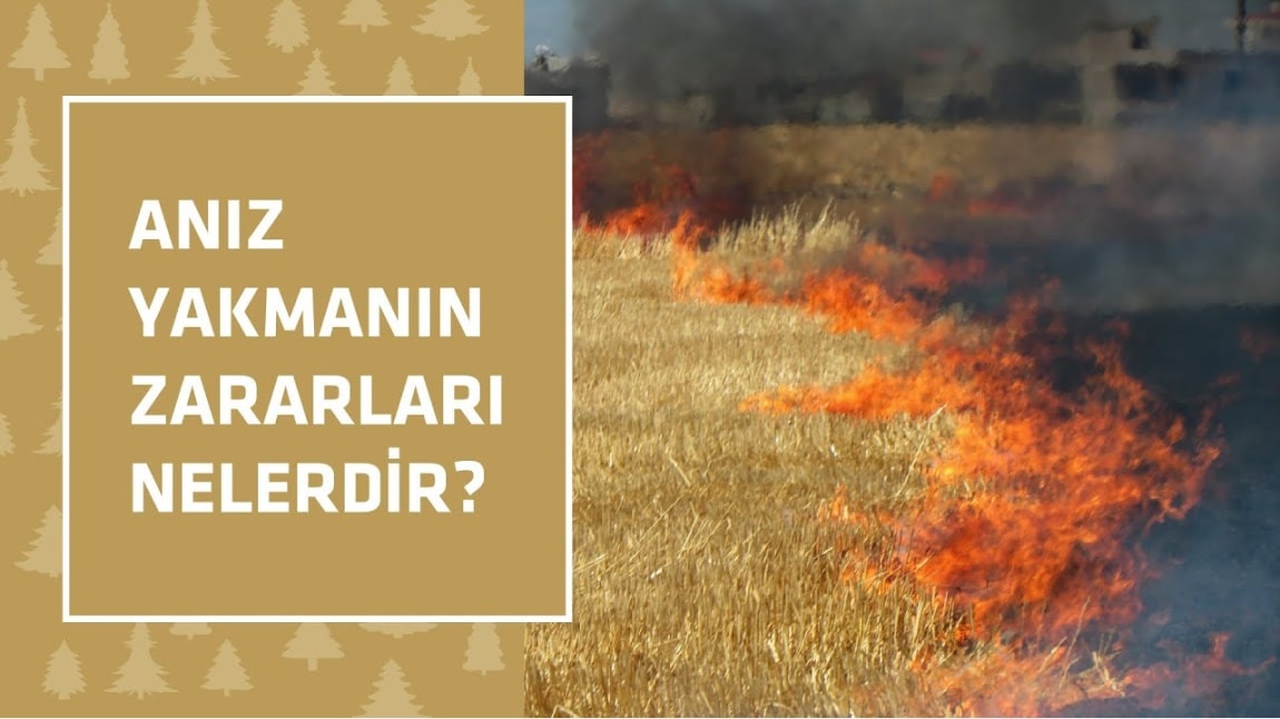 Anız Yakmanın Zararları Nelerdir